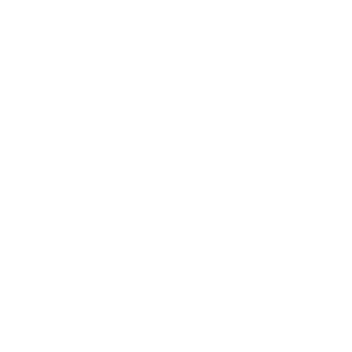 mobile phone